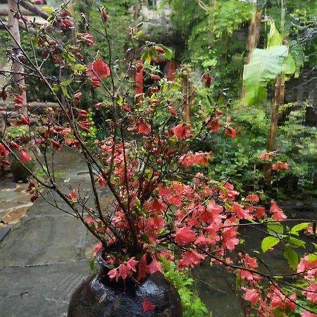 Wuyuan Qiye Yanxiang Guesthouse Exterior foto