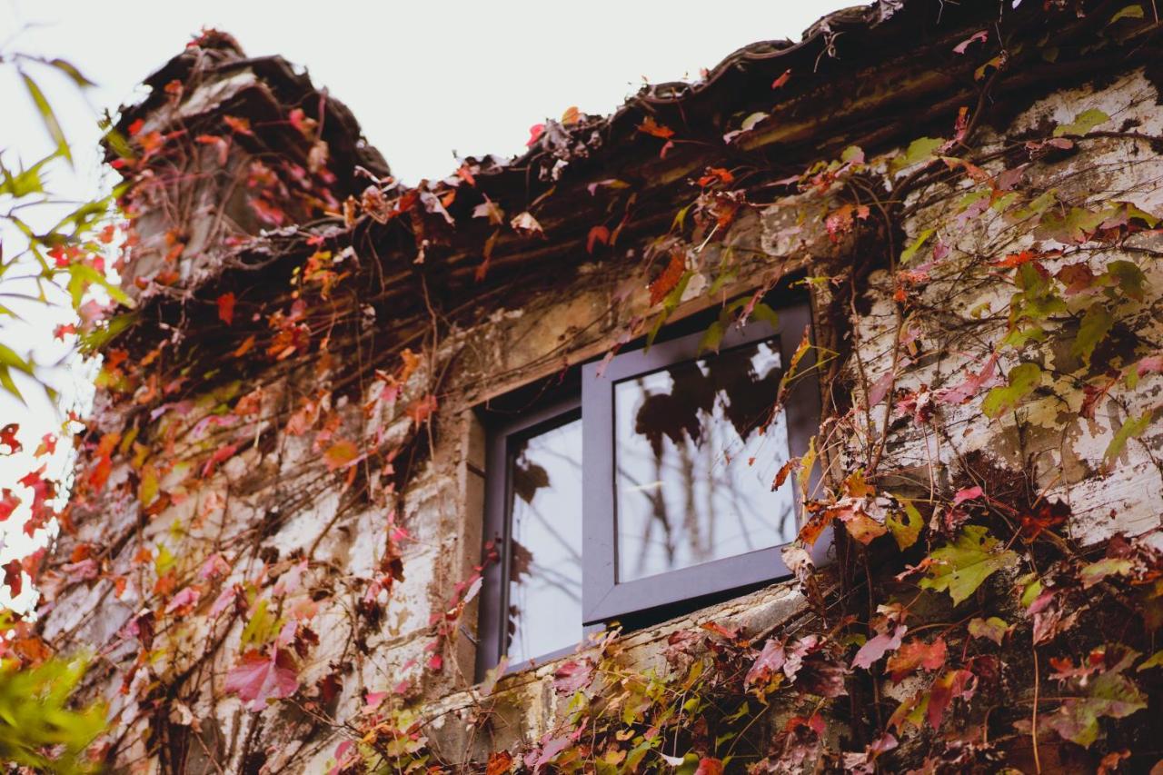 Wuyuan Qiye Yanxiang Guesthouse Exterior foto